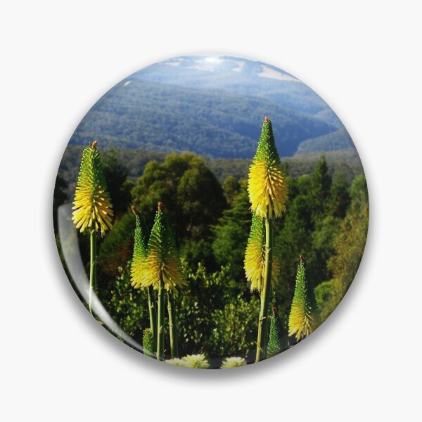 Item preview, Kniphofia - Blue Mountains Botanic Gardens designed and sold by Marilyn Harris.