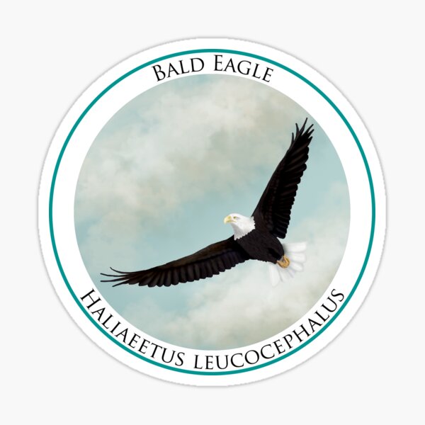 Bald Eagle Badge Sticker