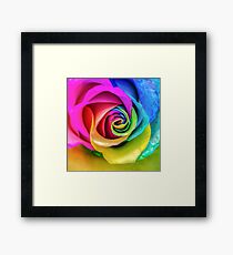 Rainbow Rose Framed Print