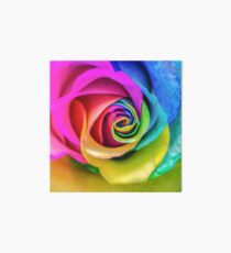 Rainbow Rose Art Board