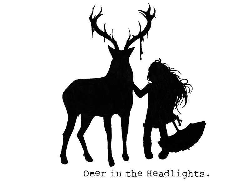 "Deer in the Headlights" by Su Ann Yip Redbubble