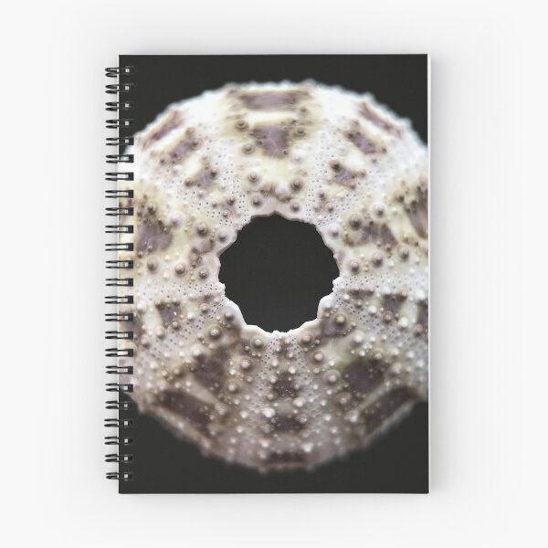 Item preview, Lytechinus pictus designed and sold by MotherOfUrchins.