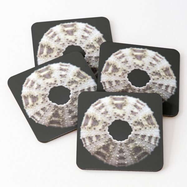 Item preview, Lytechinus pictus designed and sold by MotherOfUrchins.