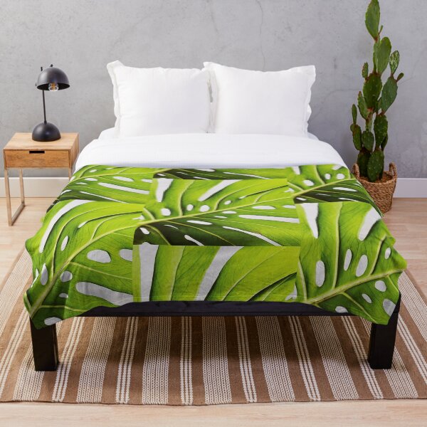 Item preview, monstera deliciosa designed and sold by plantedadvisory.