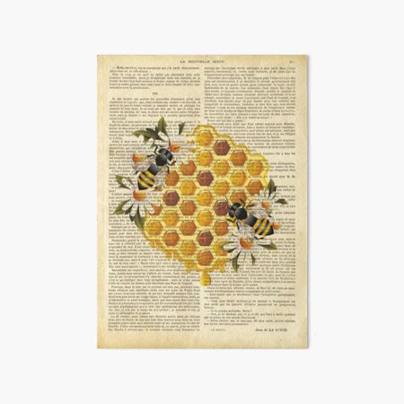 Botanical print, on old book page - Honeycomb and bees Art Board Print