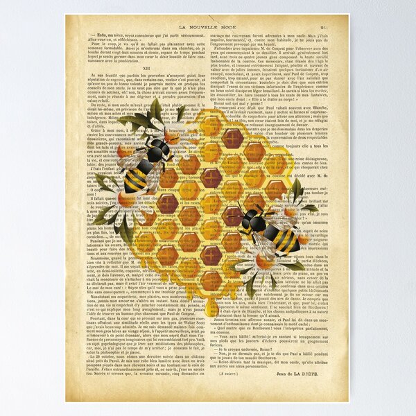 Honey Bee Wall Art Print - Botanical Decor