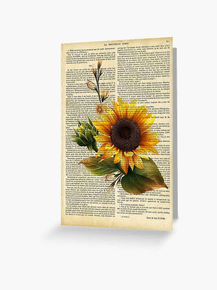 Tarjetas de felicitación «Impresión botánica, en la página del libro  antiguo - Girasol» de lldd11 | Redbubble