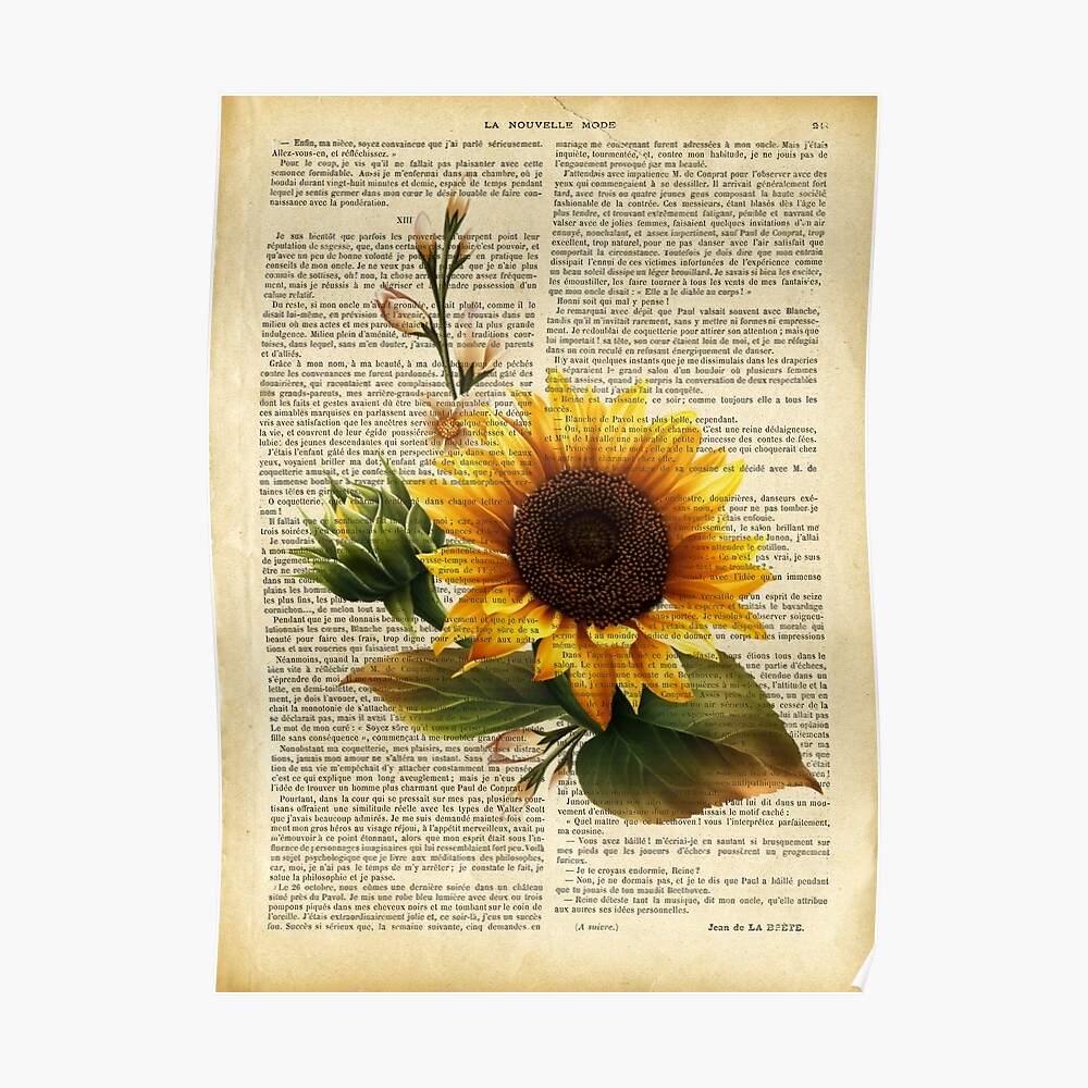 Botanical print, on old book page - garden flowers Tapestry for Sale by  Art Dream Studio