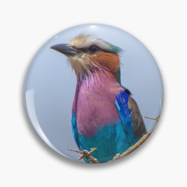 Item preview, Lilac Breasted Roller Rainbow Bird, Thorny Acacia Tree designed and sold by SafariByMarisa.
