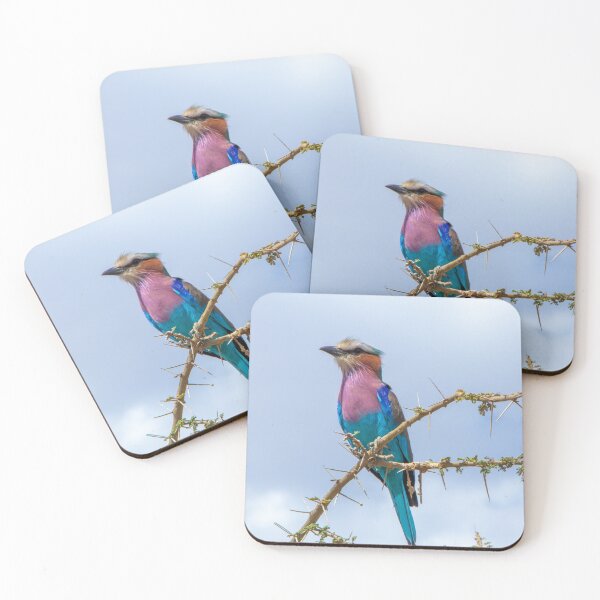 Item preview, Lilac Breasted Roller Rainbow Bird, Thorny Acacia Tree designed and sold by SafariByMarisa.