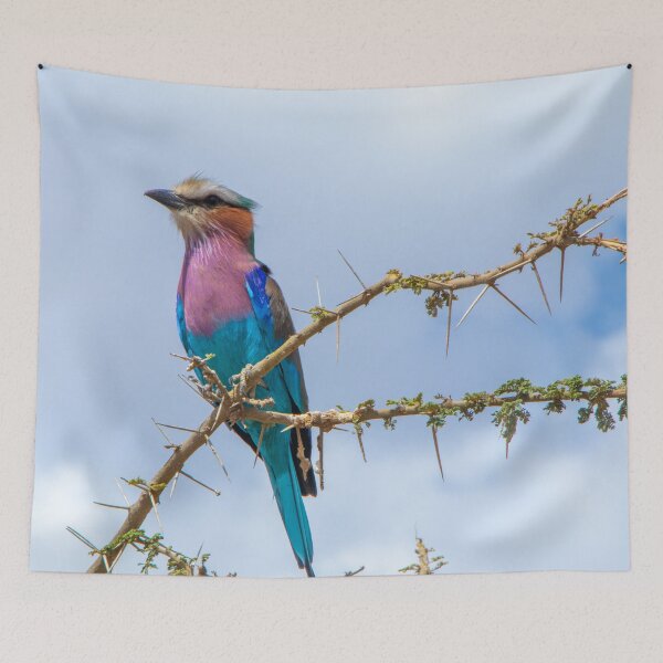 Item preview, Lilac Breasted Roller Rainbow Bird, Thorny Acacia Tree designed and sold by SafariByMarisa.