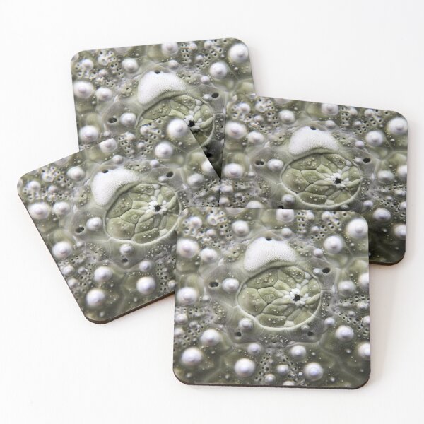 Item preview, Apical Disc of the Sea Urchin designed and sold by MotherOfUrchins.