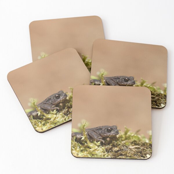 Item preview, Young Common Toad designed and sold by Christian Moss.