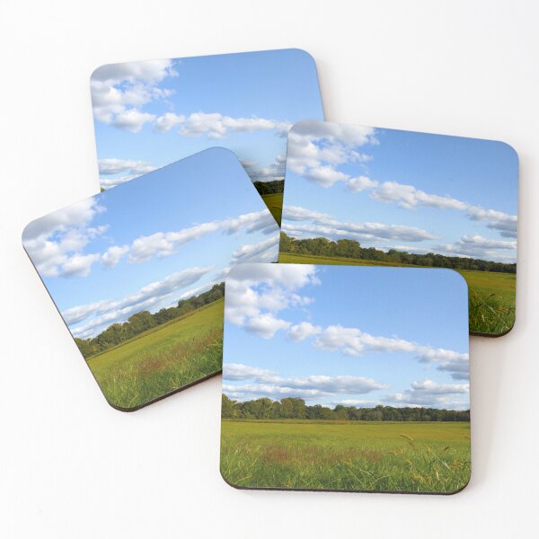 Item preview, Princeton Battlefield Park designed and sold by R. R. Branstrom.