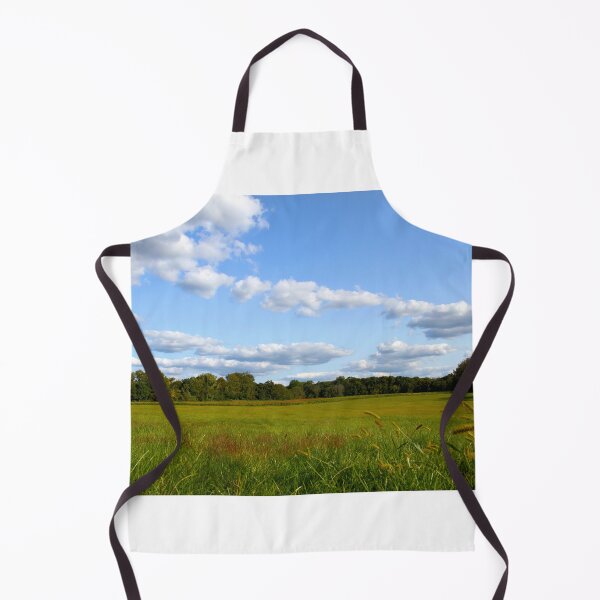 Item preview, Princeton Battlefield Park designed and sold by R. R. Branstrom.