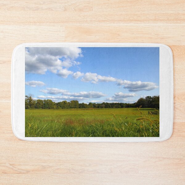 Item preview, Princeton Battlefield Park designed and sold by R. R. Branstrom.