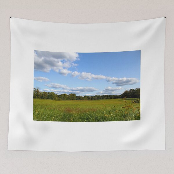 Item preview, Princeton Battlefield Park designed and sold by R. R. Branstrom.