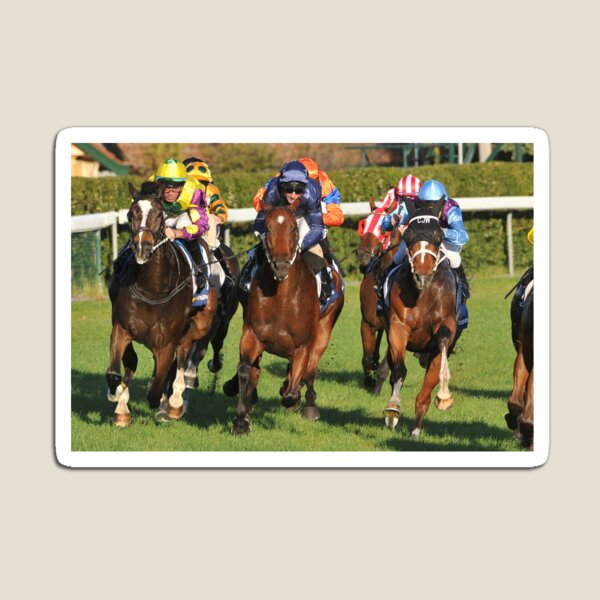 Horse racing action 10 Magnet