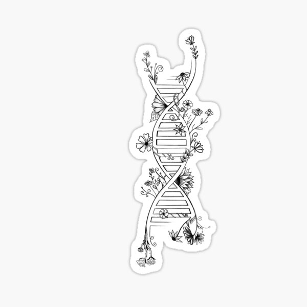 Floral DNA transparent sketch Sticker