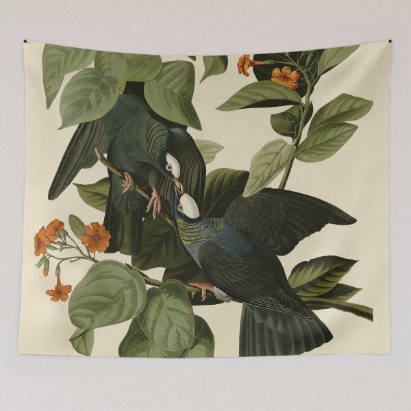 Item preview, 177 White crowned Pigeon crop designed and sold by Bird-Lore.