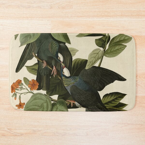 Item preview, 177 White crowned Pigeon crop designed and sold by Bird-Lore.