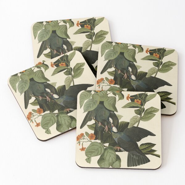 Item preview, 177 White crowned Pigeon crop designed and sold by Bird-Lore.