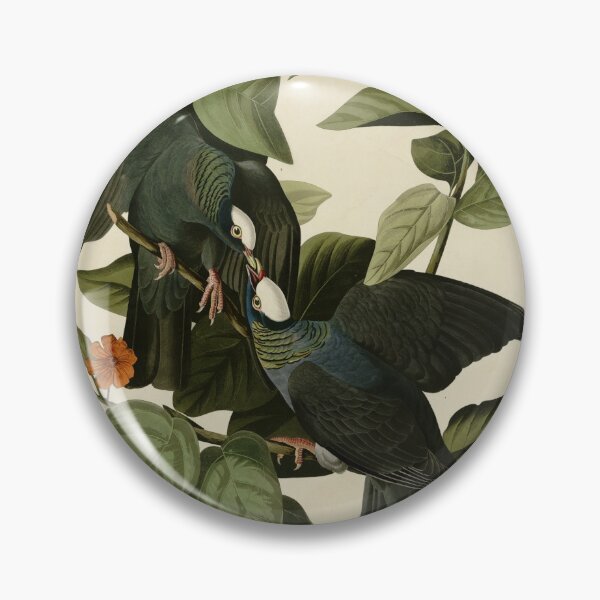 Item preview, 177 White crowned Pigeon crop designed and sold by Bird-Lore.