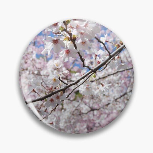 Item preview, SPRING CHERRY BLOSSOM | Flower Season Photo designed and sold by PhotoStory.