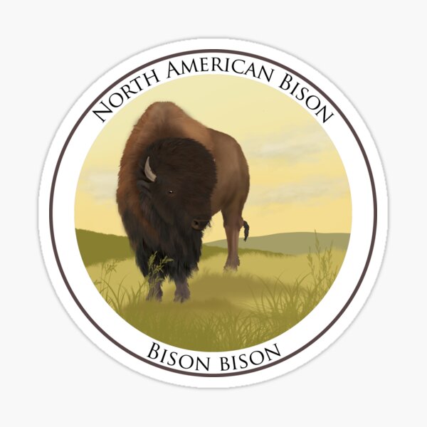 North American Bison Badge Sticker