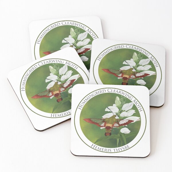 Item preview, Hummingbird Clearwing Moth Badge designed and sold by Heather  Hinam.