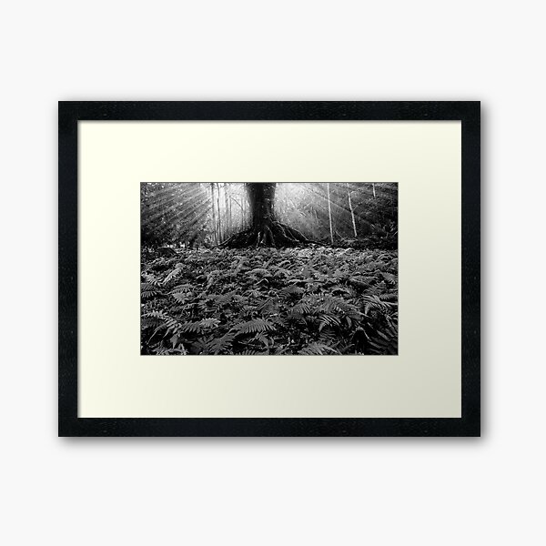 Magic on Maui Framed Art Print