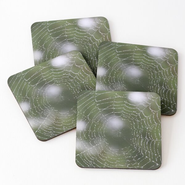 Item preview, Dewy Spider Web designed and sold by Spindrifter Studio.