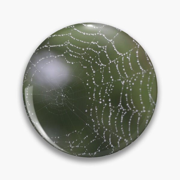 Artikelvorschau, Dewy Spider Web entworfen und verkauft von Spindrifter Studio.