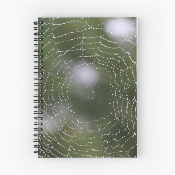Artikelvorschau, Dewy Spider Web entworfen und verkauft von Spindrifter Studio.