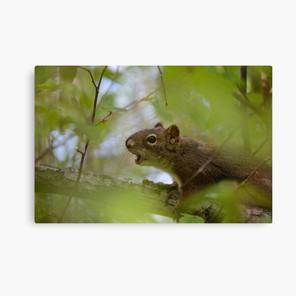 Sound The Alarm Canvas Print