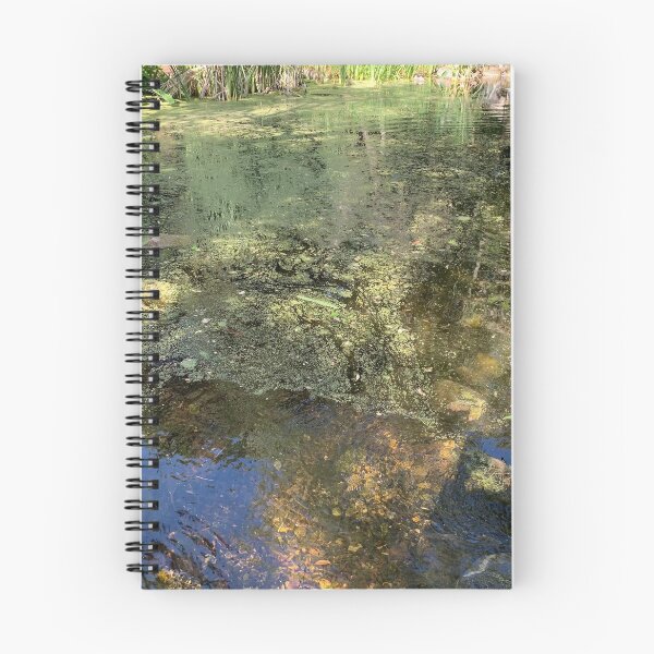 Item preview, Summer pond designed and sold by agnessa38.