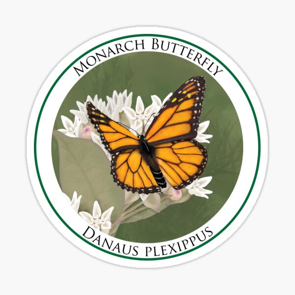 Monarch Butterfly Badge Sticker
