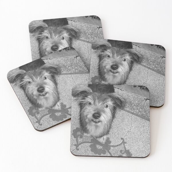Item preview, you talkin to me? designed and sold by Roz McQuillan Fine Art & Photography.