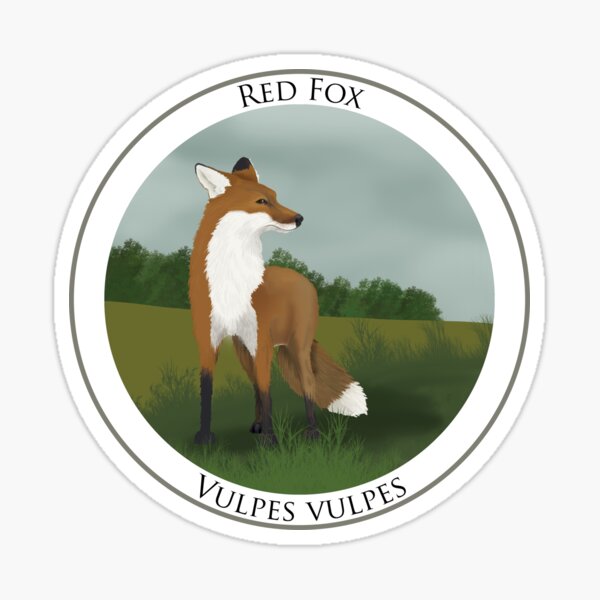 Red Fox Badge Sticker