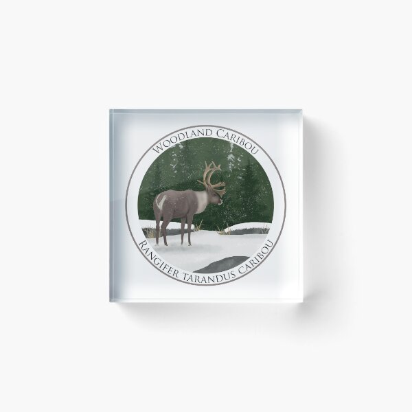 Item preview, Woodland Caribou Badge designed and sold by Heather  Hinam.