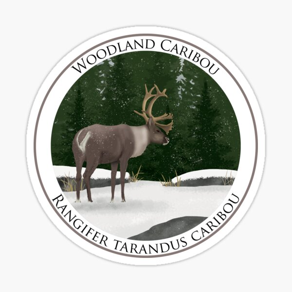 Woodland Caribou Badge Sticker