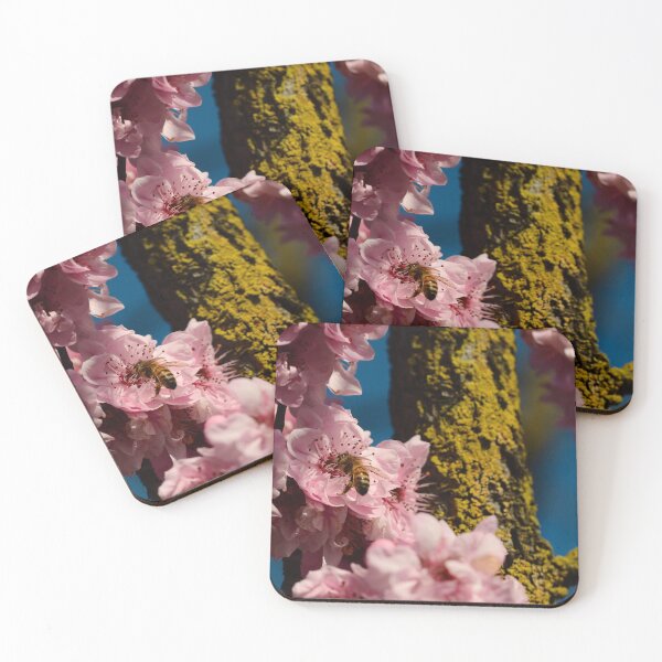 Item preview, Bee and cherry blossom  designed and sold by GregoryThompson.