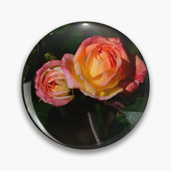 Item preview, Roses in the soft morning light designed and sold by GregoryThompson.