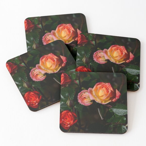 Item preview, Roses in the soft morning light designed and sold by GregoryThompson.
