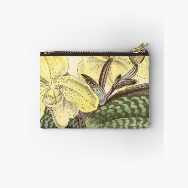 Item preview, Paphiopedilum concolor (as Cypripedium concolor ) Curtis' 91 (Ser. 3 no. 21) pl. 5513 (1865) designed and sold by EsotericBotanic.