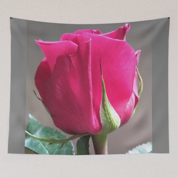 Item preview, Pink Rose designed and sold by doodle3Dandy.