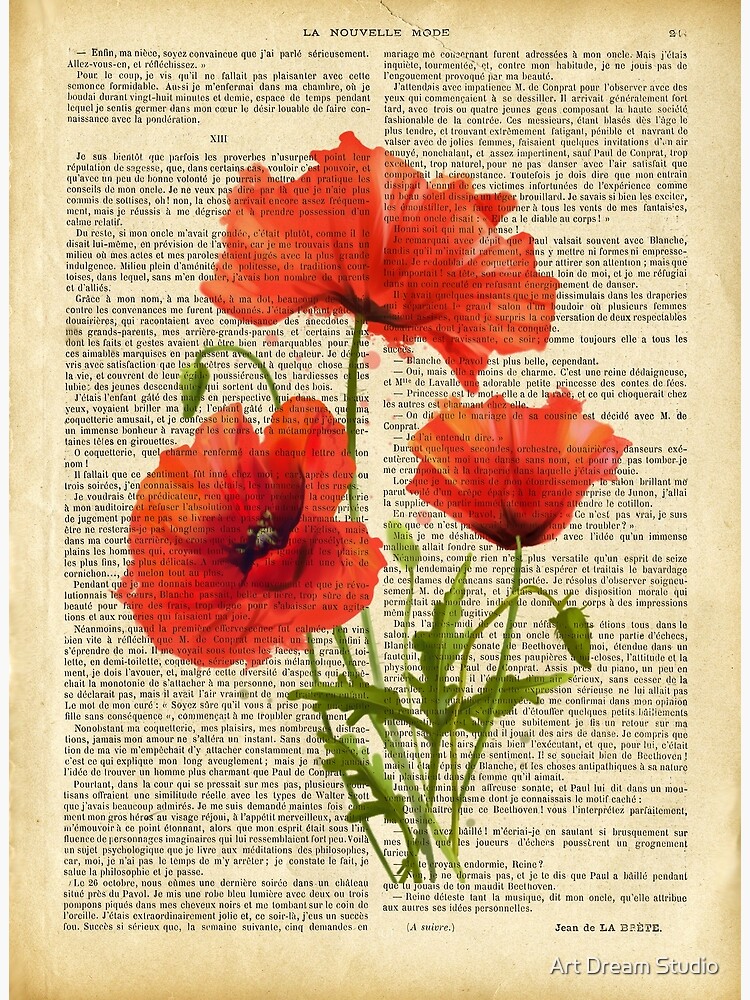 Botanical print, on old book page - red poppies | Postcard