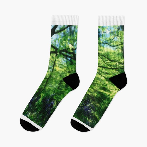 Item preview, Beech tree and bluebells designed and sold by AntonyMitchell.