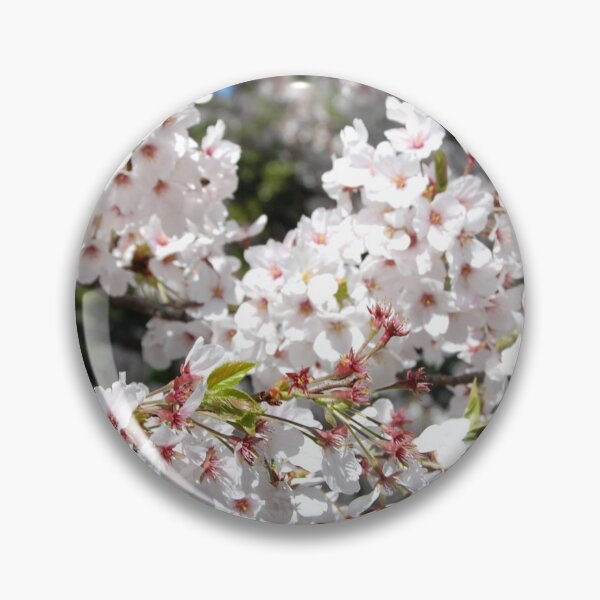 Item preview, SPRING SAKURA FROM JAPAN | Flower Season Photo designed and sold by PhotoStory.