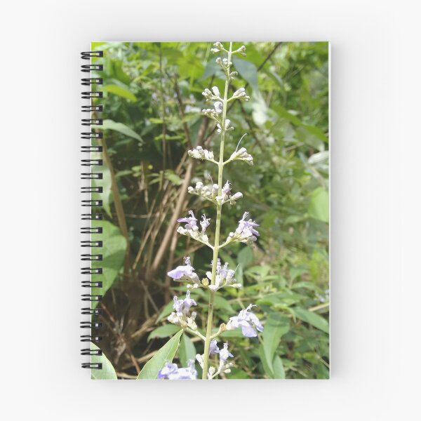 Artikelvorschau, Blume weiß blau entworfen und verkauft von Praniket.